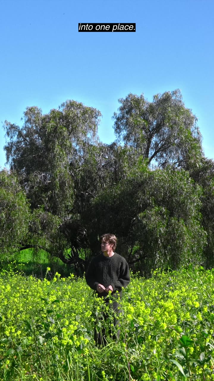 Finn Whitaker